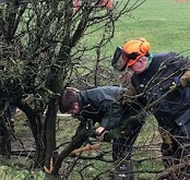 Wyre and Myerscough Hedgelaying competition